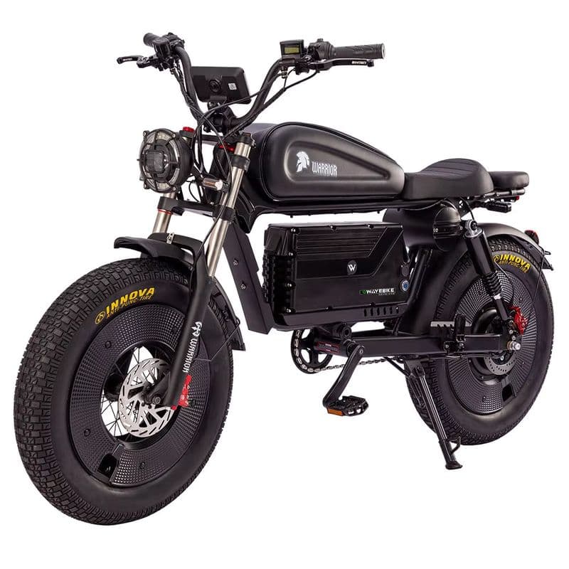 Schnelles 3000-W-Fatbike mit Langstreckenakku und hydraulischen Bremsen-sku-9