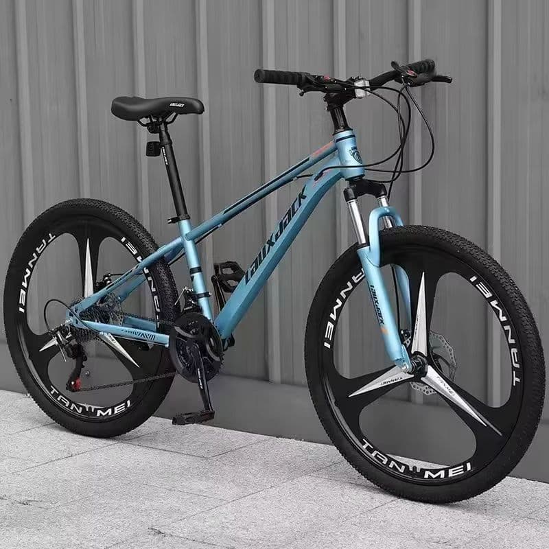 Robustes 26-Zoll-Mountainbike mit 21-Gang-Schaltung und Scheibenbremsen-sku-14