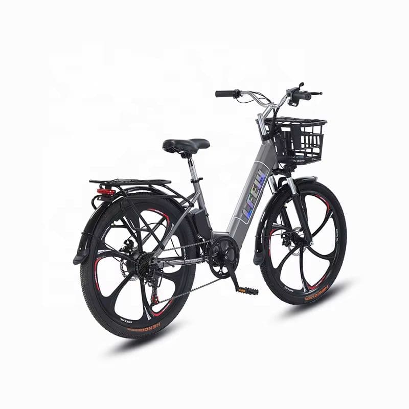 Hochleistungs-Elektrofahrrad für den Arbeitsweg mit 350 W Leistung und 70 km Reichweite-sku-2