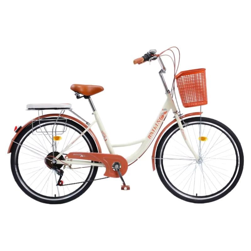Hochwertige Citybikes für Erwachsene – langlebig, vielseitig und stylisch-sku-11