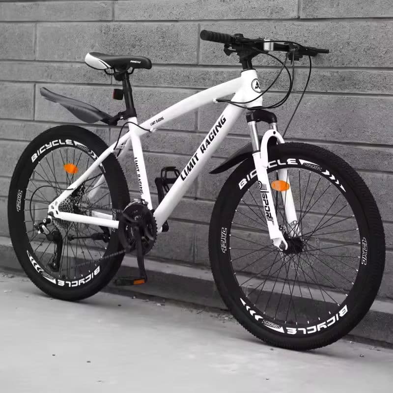 Vielseitiges 21-Gang-Mountainbike mit individuellen Größen und Farben-sku-13