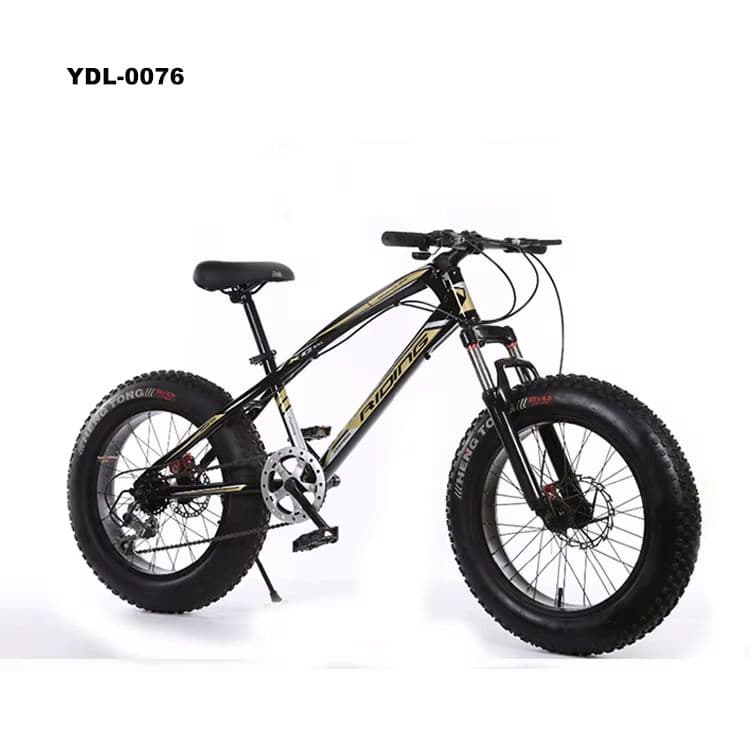 20-Inch Fat Tire Bicycle for Off-Road Racing and Versatile Use-sku-6